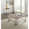 DAMIEN COCKTAIL OTTOMAN AND END TABLE